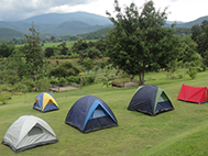 พื้นที่กางเต็นท์ท่ามกลางธรรมชาติ / Tent camping area among nature